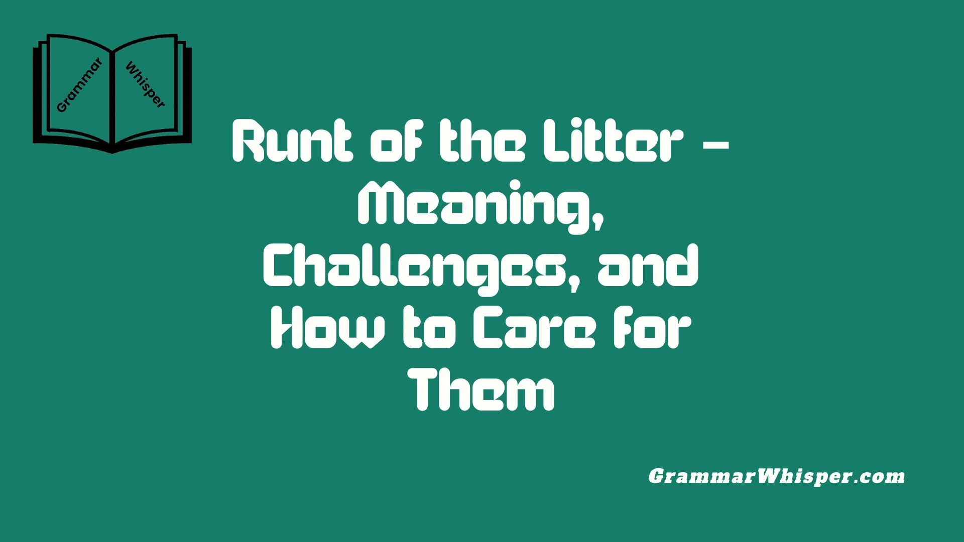 Runt of the Litter – Meaning, Challenges, and How to Care for Them