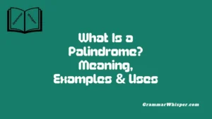 What Is a Palindrome? Meaning, Examples & Uses