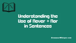 Understanding the Use of Never + Nor in Sentences