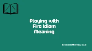 Playing with Fire Idiom Meaning